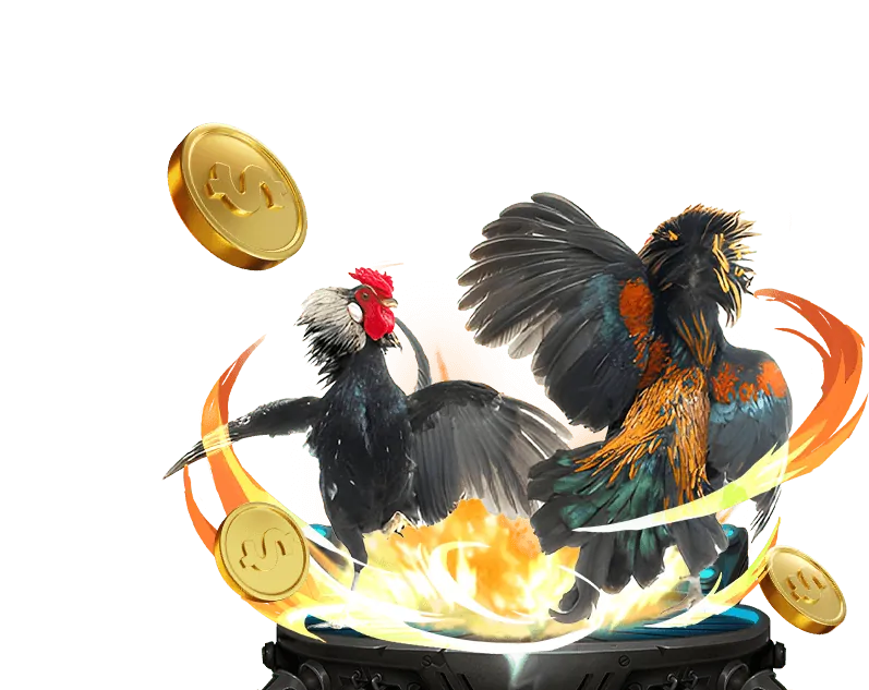 Sự kiện đá gà lớn