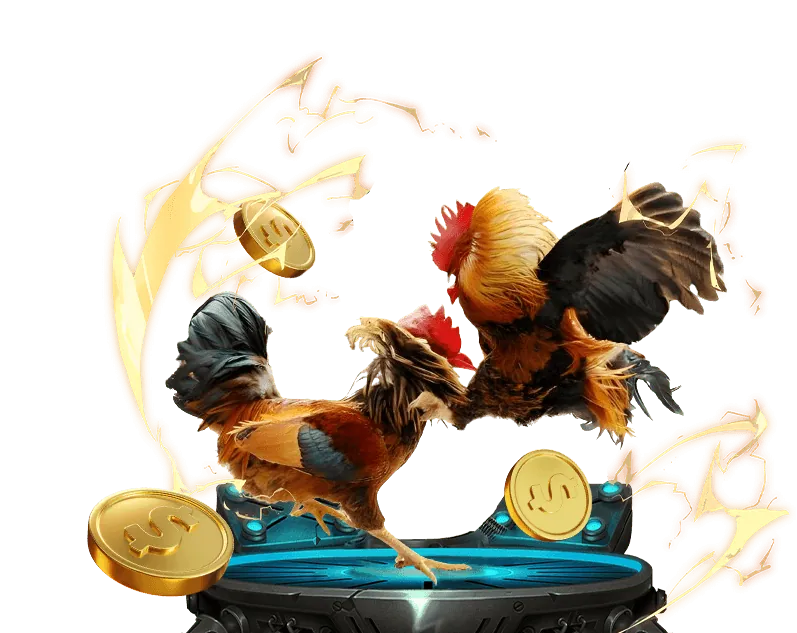 Hướng dẫn Sabong 67